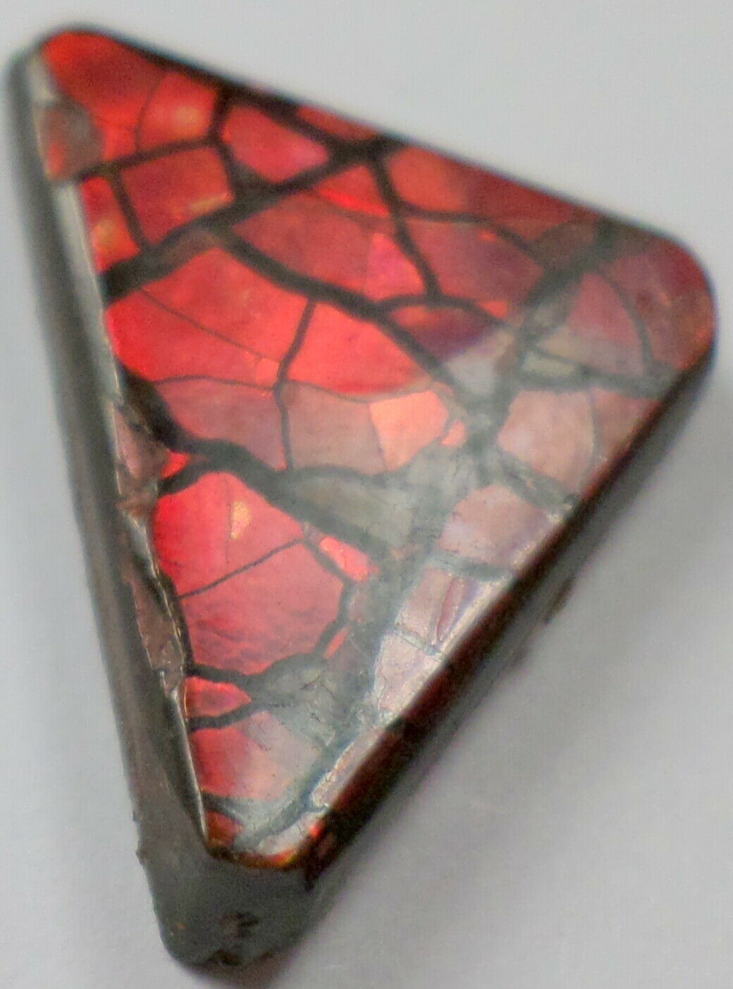 9.55 Cts Canadian Ammolite Ammonite Gemstone Real Red Color Cabochon Cab 15x19mm