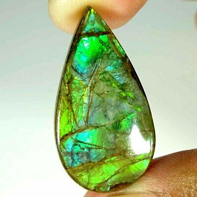 28.10Cts Natural Fire Ammolite Pear Cabochon Loose Gemstone