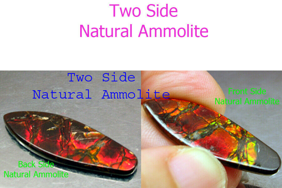 Two Side Ammolite Natural Red Orange  Yellow Ammolite 9.2 Ct.